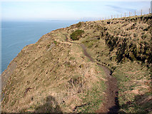 SN5884 : A precipitous section of the Ceredigion Coastal Path by John Lucas