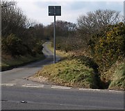 SX9176 : Lane on Little Haldon by Derek Harper