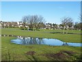 Turfbeg from the Country Park