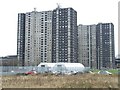 Gorbals tower blocks