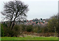 Woodland  by Gornal Wood Crematorium, Dudley