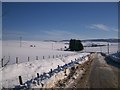 Snow at Brawlandknowes