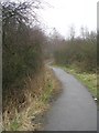 Trans Pennine Trail - Rooks Nest Road