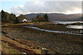 Loch Sunart shoreline