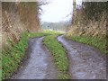 Footpath to Norrington