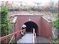 Hogsmill River walkway in Ewell