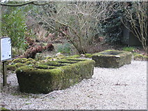 SW4429 : Granite tin moulds in Trewidden Garden by Rod Allday