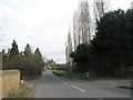 Looking eastwards along Wisley Lane