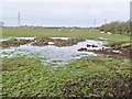 Waterlogged Field Near Eskham House