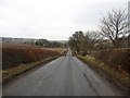 Looking back to Millheugh Farm