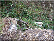 SN1710 : Rubbish at Clay Pits, Llanteg by welshbabe
