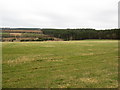 Grazing and forestry lands in Roxburghshire