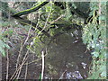 Pond near the junction of Sheerwater and Longmete roads