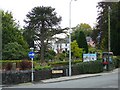 Part of graveyard behind King Street