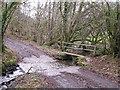 Another Ford and Another Footbridge