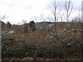 The Rooftops of Walpole