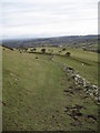 Footpath on Moel Llys-y-Coed