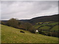 The Upper Gwili Valley