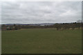 Fields, Brimelow Farm, Beech Hill