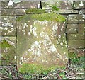 Boundary stone, Scatterbeck