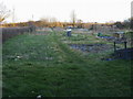 Allotments in Piddington village