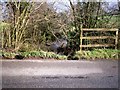 Stream, near Broomylake, Llanteg