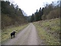 Bridleway, Stubhampton Bottom