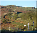 Footpath to Burley Moor