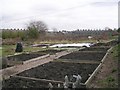 Allotments - Scotchman Road