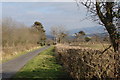 Approaching Wenallt