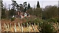 Large house near Grayshott