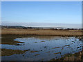 Ouse Estuary Nature Reserve