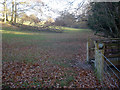 Footbridge near Barn Farm - 1