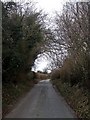 Isle of Wight Lane, view northwestwards