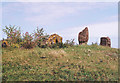 Heston Brake Long Barrow nr Portskewett