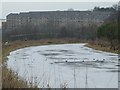 Forth and Clyde Canal