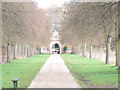 An Avenue in Petersham