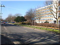 The Boulevard, Crawley