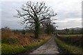 Farm Track near Yetminster.