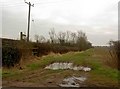 Bridleway near Magpie Hall Farm