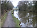 Macclesfield Canal