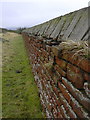 Moorland side of Cemetery Wall