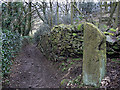 Bridleway at The Banks