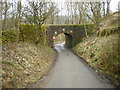 Railway bridge over Mow Halls Lane