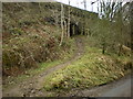 Footpath under the railway near Dunge Booth Lock