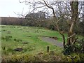 Corraderrybrock Townland