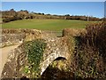 Bridge, Michelcombe