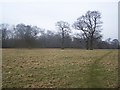 Footpath past Long Wood