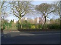 Looking across Auldhouse Park to Shawbridge Flats