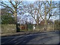 Haggs Road entrance to Pollok Country Park